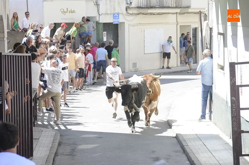 Últimos Festejos taurinos en Moraleja / Fotos: Adrián M.Pastor