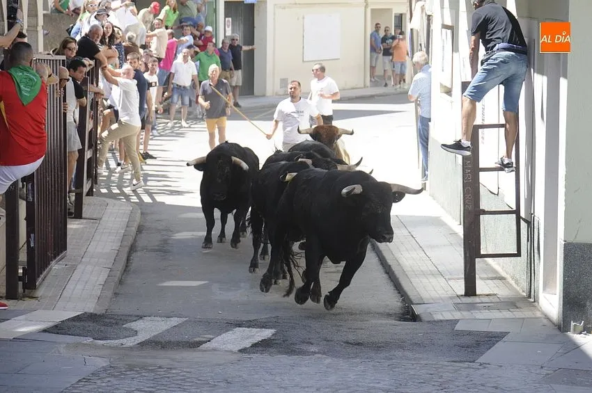 Últimos Festejos taurinos en Moraleja / Fotos: Adrián M.Pastor
