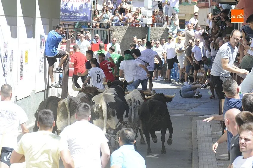 Primer encierro de San Buenaventura en Moraleja/ Fotos: Adrián M.Pastor
