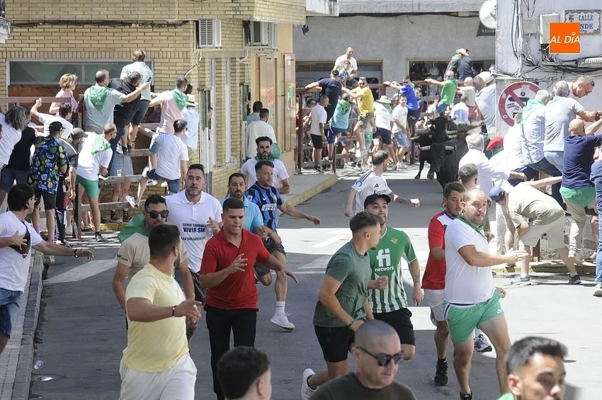 Primer encierro de San Buenaventura en Moraleja/ Fotos: Adrián M.Pastor