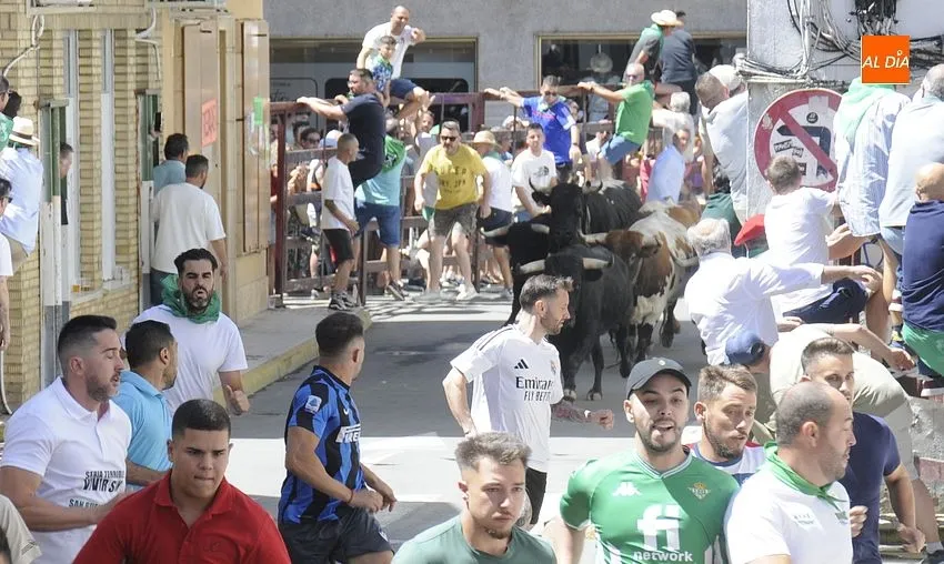 Primer encierro de San Buenaventura en Moraleja/ Fotos: Adrián M.Pastor
