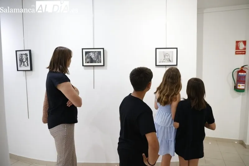Nueva exposición del Espacio Joven bajo el título ‘Un viaje con lápiz y papel’. Foto de David Sañudo