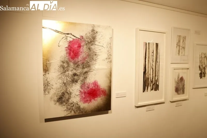 Exposición de Rocío Caramazana en la Sala de La Salina. Foto de David Sañudo