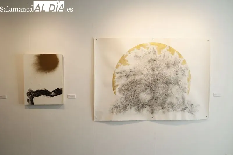 Exposición de Rocío Caramazana en la Sala de La Salina. Foto de David Sañudo