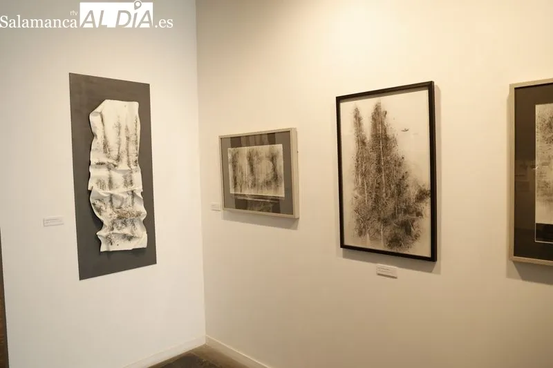 Exposición de Rocío Caramazana en la Sala de La Salina. Foto de David Sañudo