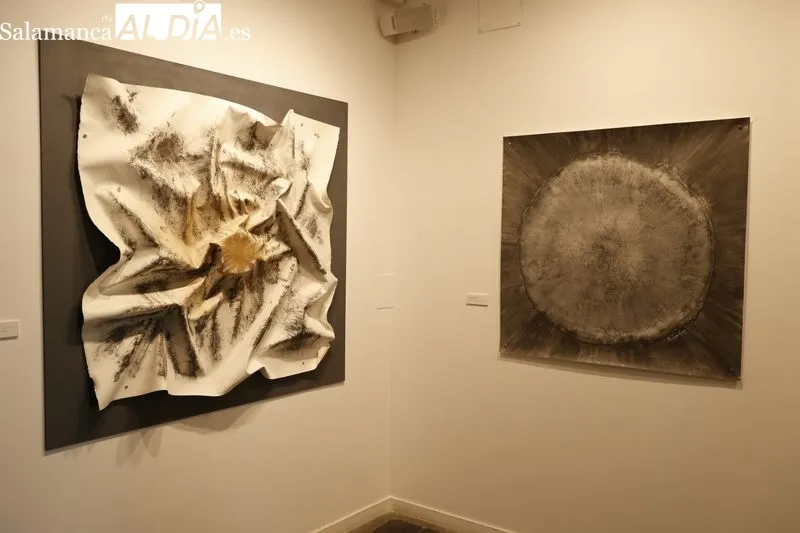 Exposición de Rocío Caramazana en la Sala de La Salina. Foto de David Sañudo