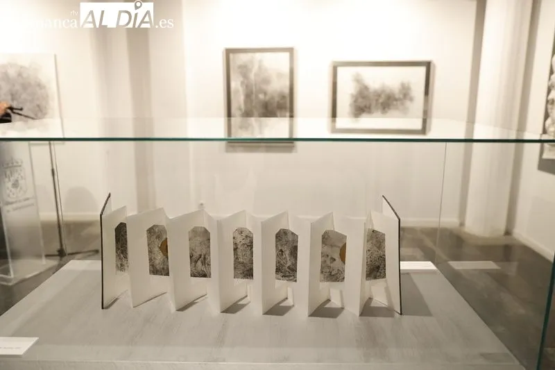 Exposición de Rocío Caramazana en la Sala de La Salina. Foto de David Sañudo