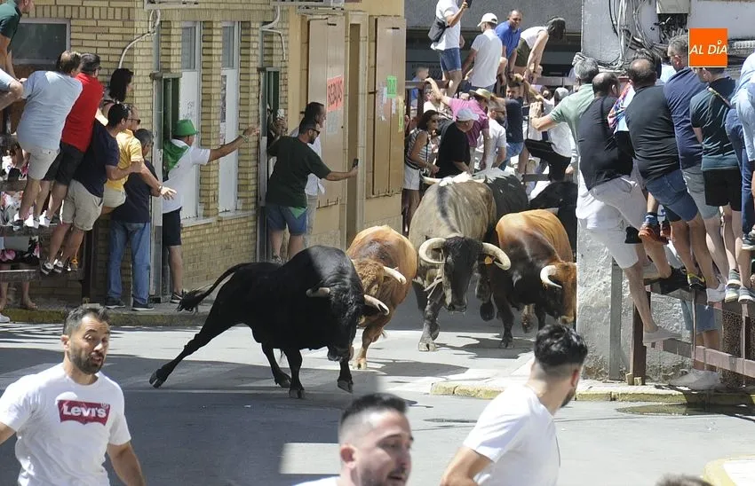 Fiestas en Moraleja / Fotos: Adrián M.Pastor