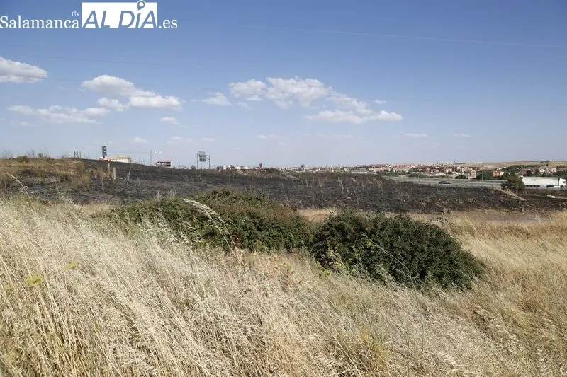 Un incendio de pastos cerca de la A-62 moviliza a los bomberos en Salamanca  | FOTOS: David Sañudo 