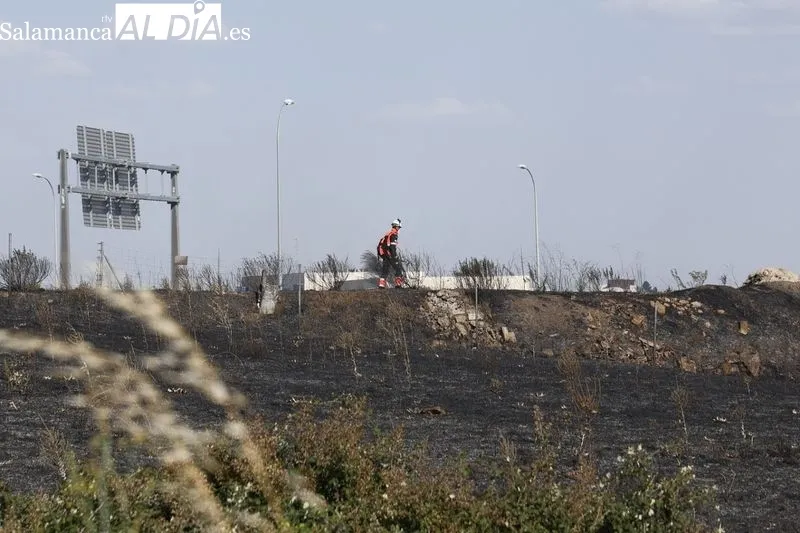 Un incendio de pastos cerca de la A-62 moviliza a los bomberos en Salamanca  | FOTOS: David Sañudo 