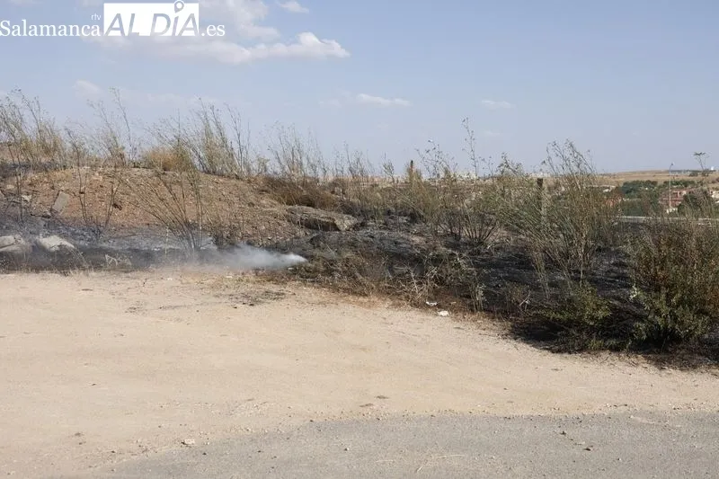 Un incendio de pastos cerca de la A-62 moviliza a los bomberos en Salamanca  | FOTOS: David Sañudo 