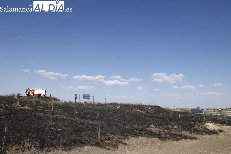 Un incendio de pastos cerca de la A-62 moviliza a los bomberos en Salamanca  | FOTOS: David Sañudo 