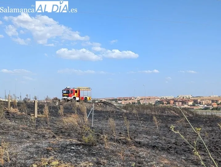 Un incendio de pastos cerca de la A-62 moviliza a los bomberos en Salamanca  | FOTOS: David Sañudo 