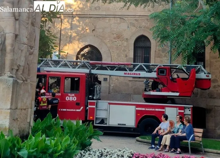 Intervención de los bomberos de Salamanca tras la caída de una rama en los Jardines de las Salesas