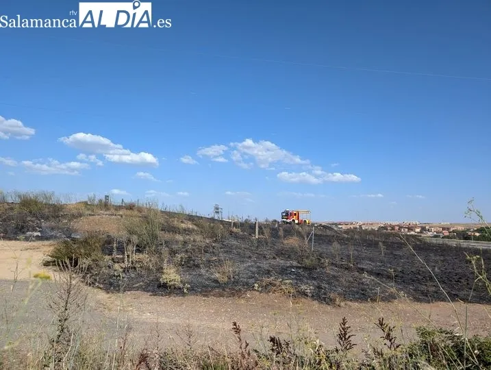 Un incendio de pastos cerca de la A-62 moviliza a los bomberos en Salamanca  | FOTOS: David Sañudo 