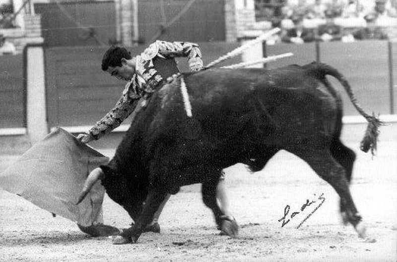 Al hilo de las tablas Paco Camino: el torero total  