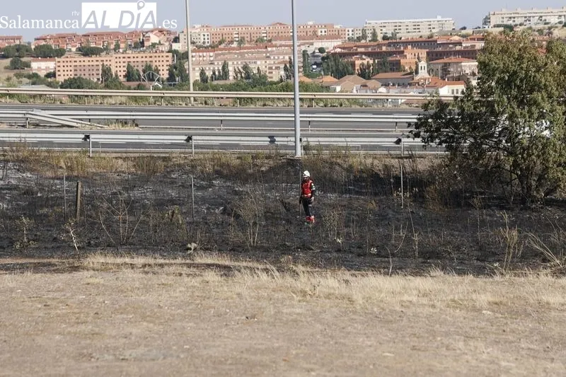 Un incendio de pastos cerca de la A-62 moviliza a los bomberos en Salamanca  | FOTOS: David Sañudo 