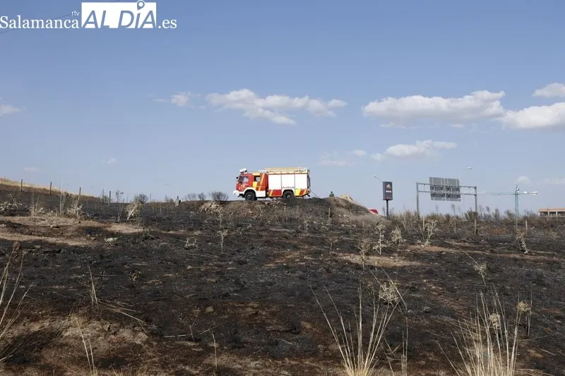 Un incendio de pastos cerca de la A-62 moviliza a los bomberos en Salamanca  | FOTOS: David Sañudo 