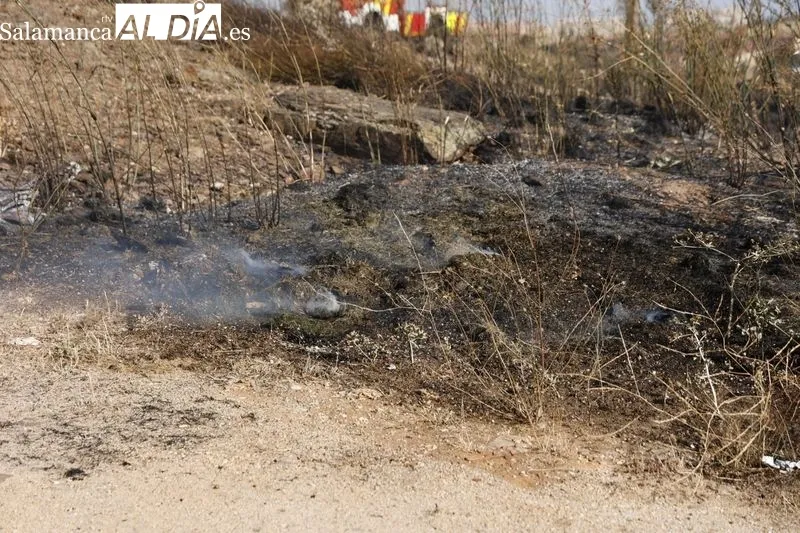 Un incendio de pastos cerca de la A-62 moviliza a los bomberos en Salamanca  | FOTOS: David Sañudo 