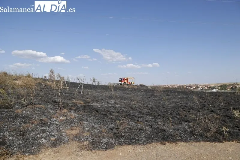 Un incendio de pastos cerca de la A-62 moviliza a los bomberos en Salamanca  | FOTOS: David Sañudo 