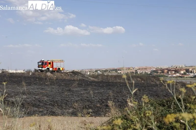 Un incendio de pastos cerca de la A-62 moviliza a los bomberos en Salamanca  | FOTOS: David Sañudo 