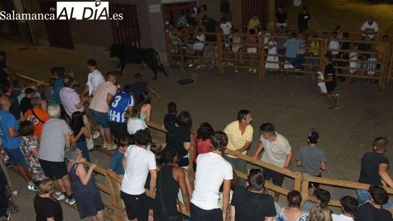 Los novillos fueron capeados en las calles y en la plaza de toros