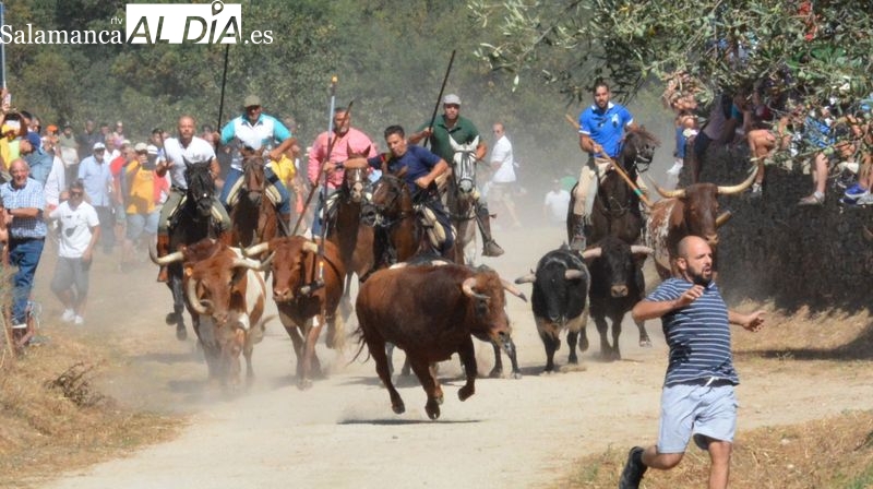 Rápido y limpio tercer encierro a caballo de las fiestas de Toros de Lumbrales