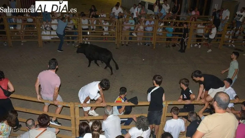 Foto 5 - Los 'toros de caj&oacute;n' anticipan los encierros de las Fiestas de Toros de Lumbrales de 2024
