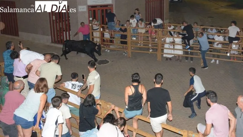 Foto 4 - Los 'toros de caj&oacute;n' anticipan los encierros de las Fiestas de Toros de Lumbrales de 2024