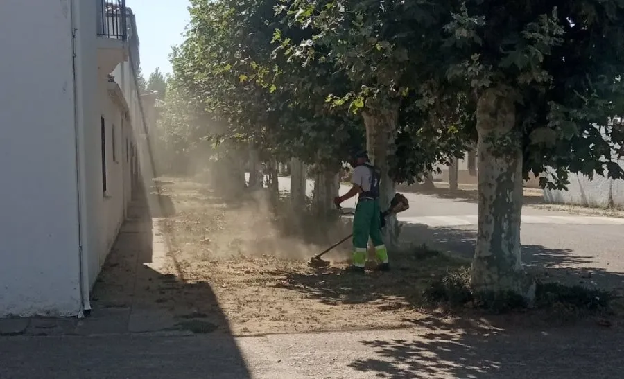 Foto 2 - Adecentadas las zonas verdes de &Aacute;gueda de cara a sus Jornadas sobre el Mundo Rural