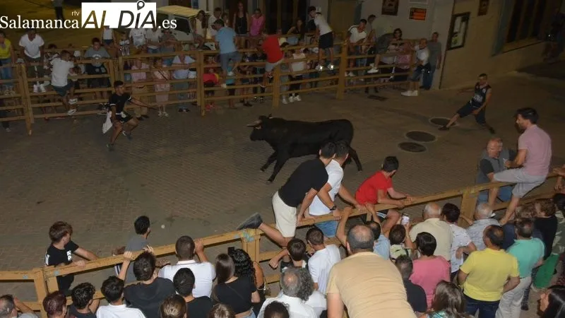 Foto 3 - Los 'toros de caj&oacute;n' anticipan los encierros de las Fiestas de Toros de Lumbrales de 2024