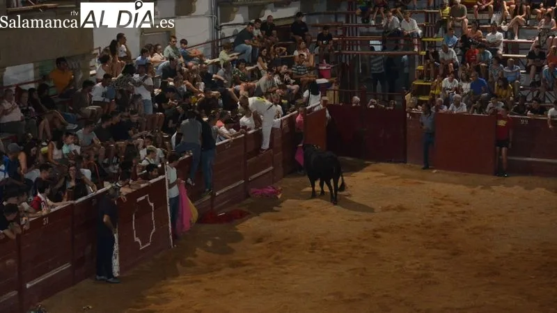 Foto 2 - Los 'toros de caj&oacute;n' anticipan los encierros de las Fiestas de Toros de Lumbrales de 2024