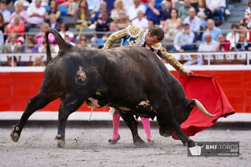 Foto 3 - Dami&aacute;n Casta&ntilde;o pone Bilbao a sus pies con un faen&oacute;n