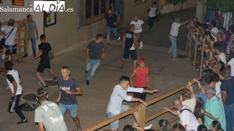 Los novillos fueron capeados en las calles y en la plaza de toros