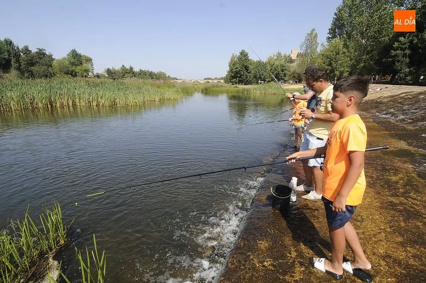 Concurso de pesca infantil en Ciudad Rodrigo / Fotos: Adrián M.Pastor