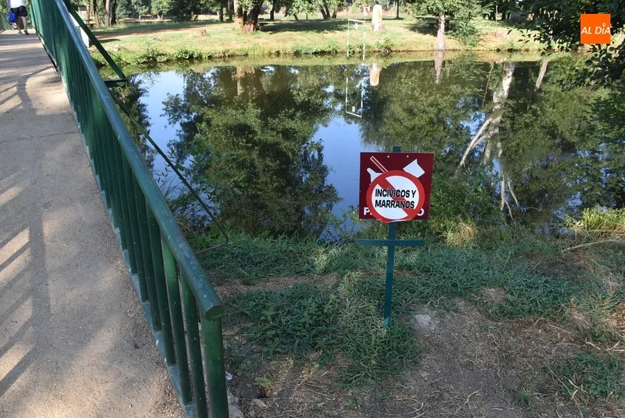 Foto 3 - &lsquo;Prohibido&rsquo; el acceso a la isla de El Pic&oacute;n a &lsquo;inc&iacute;vicos y marranos&rsquo;