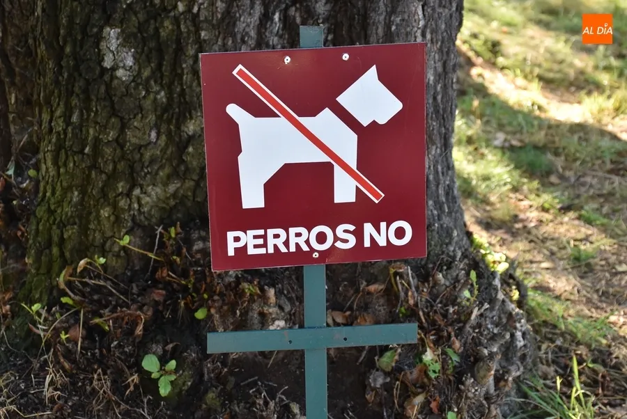 Foto 2 - &lsquo;Prohibido&rsquo; el acceso a la isla de El Pic&oacute;n a &lsquo;inc&iacute;vicos y marranos&rsquo;
