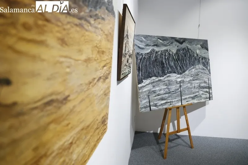 Exposición “Desiertos y montañas” del pintor Pedro García Tejada. Fotos: David Sañudo.