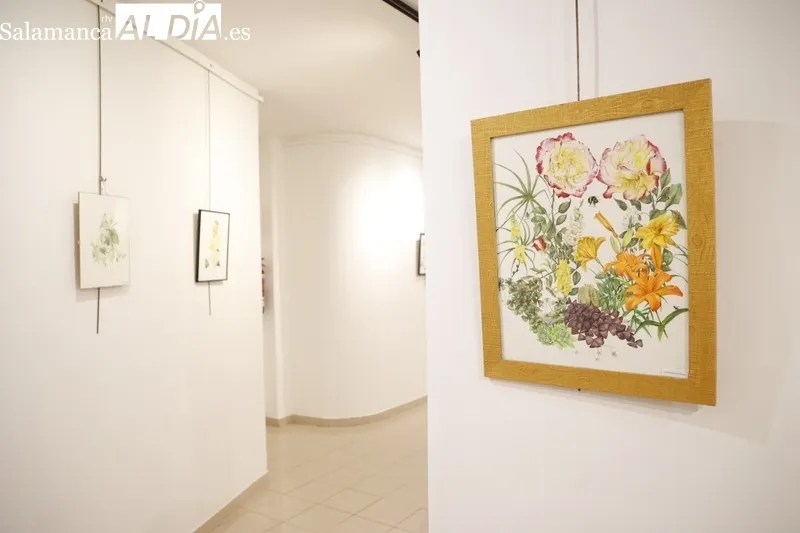 Muestra de pintura ‘Anima Mundi’ de Casandra Pina Lanero en el Espacio Joven. Fotos: David Sañudo.