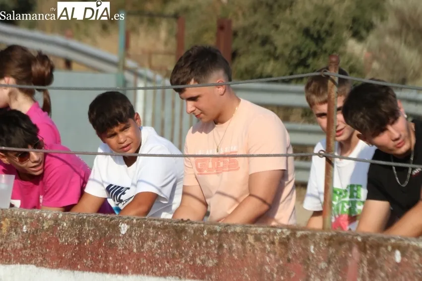 Tarde taurina en Rollanejo con dos alumnos de la Escuela de Tauromaquia de Salamanca / CORRAL 