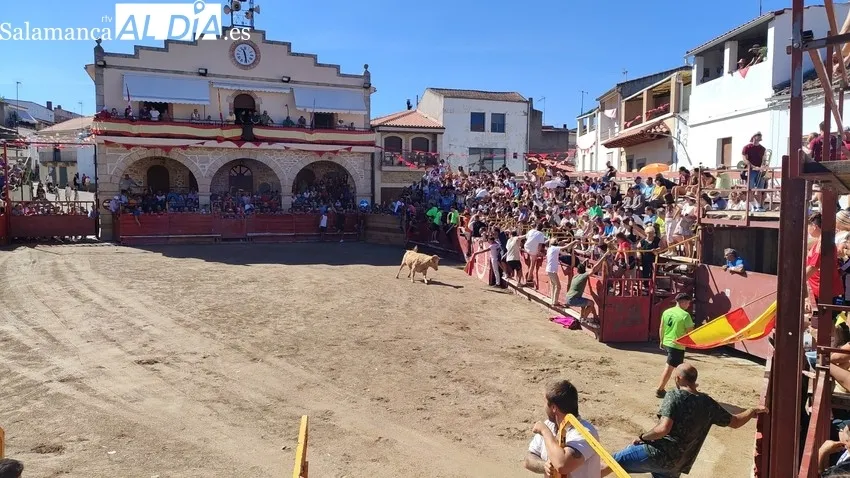 Emocionante y peligroso encierro de Valrubio en Villarino / CORRAL Y SÁNCHEZ