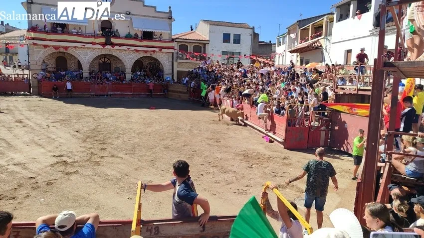 Emocionante y peligroso encierro de Valrubio en Villarino / CORRAL Y SÁNCHEZ