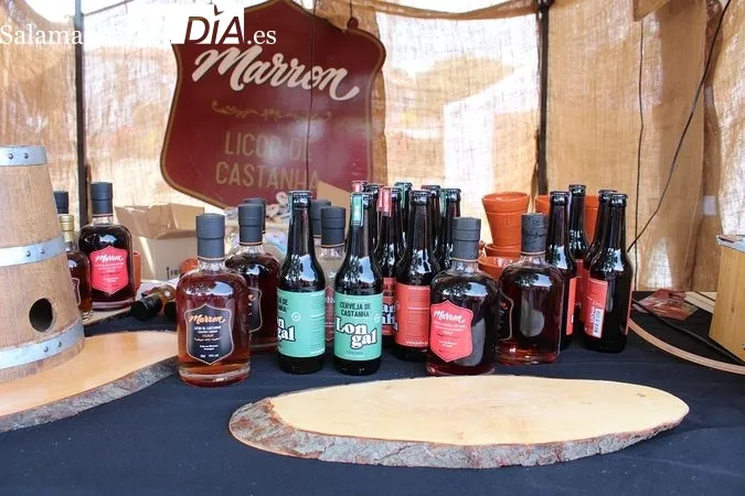 Fiesta de la Historia, en Bragança (Portugal) | MARTÍN-GARAY