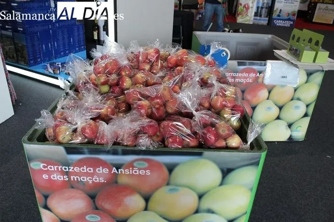 Feria de la Manzana, el Vino y el Aceite de Carrazeda de Ansiães (Portugal) | MARTÍN-GARAY