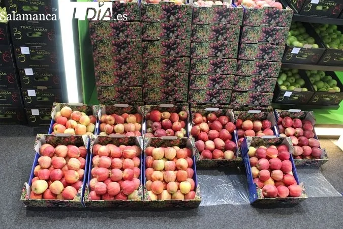 Feria de la Manzana, el Vino y el Aceite de Carrazeda de Ansiães (Portugal) | MARTÍN-GARAY