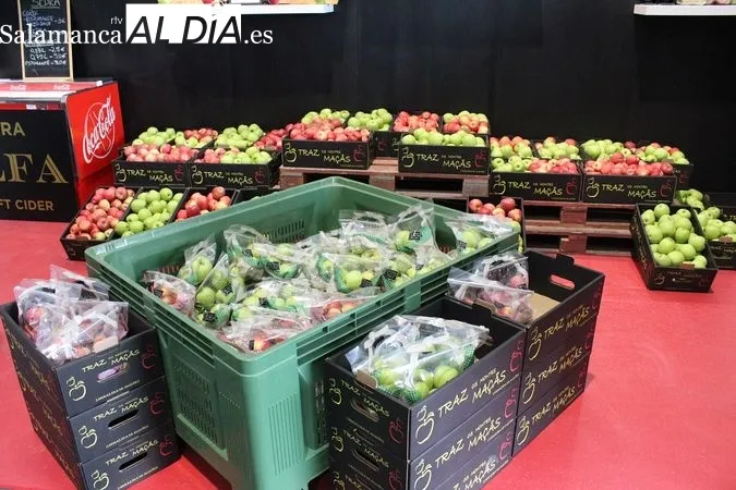 Feria de la Manzana, el Vino y el Aceite de Carrazeda de Ansiães (Portugal) | MARTÍN-GARAY