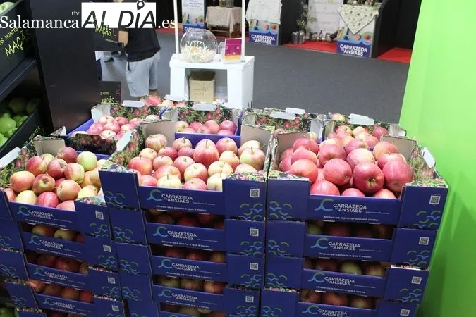 Feria de la Manzana, el Vino y el Aceite de Carrazeda de Ansiães (Portugal) | MARTÍN-GARAY