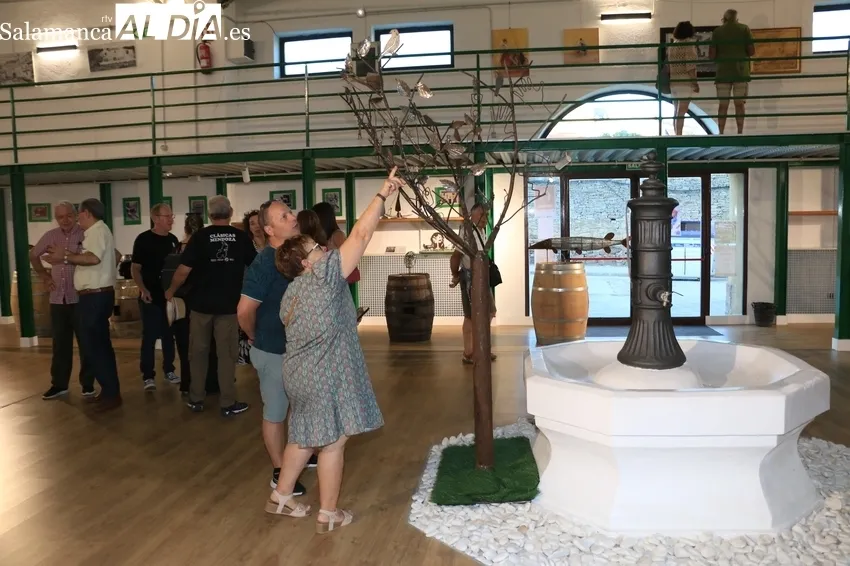 Exposición de artes plásticas en el Mercado de Abastos de Vitigudino / CORRAL