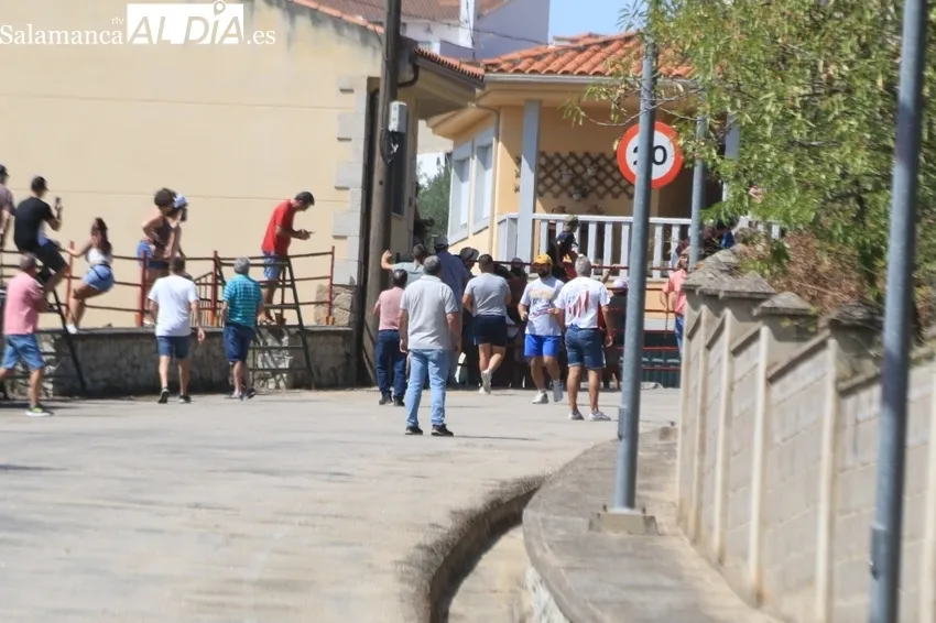 Peligroso encierro de Domingo Hernández en Saucelle / CORRAL