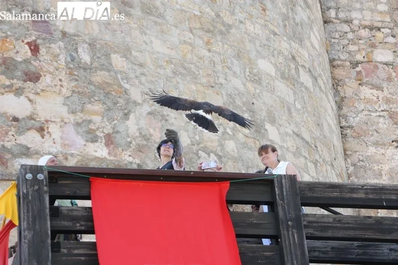 Foto 5 - Primer d&iacute;a de feria medieval en el Castillo de los Duques de Alba